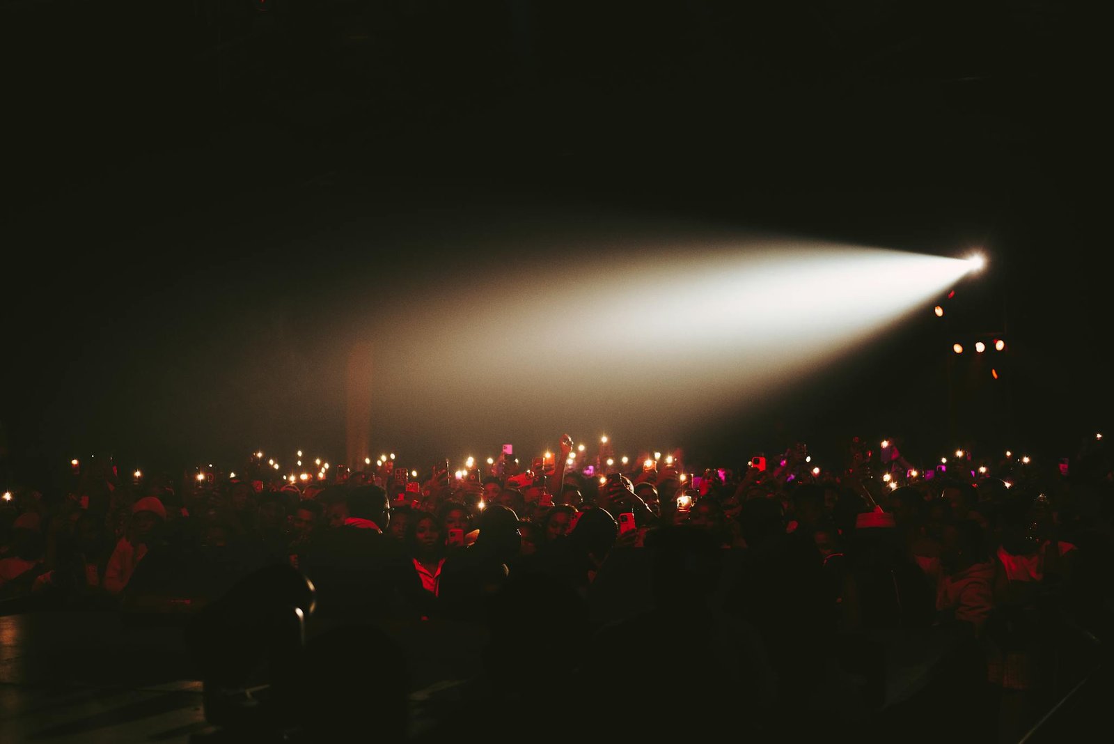 Crowd enjoying a vibrant nightclub performance under dramatic lighting.