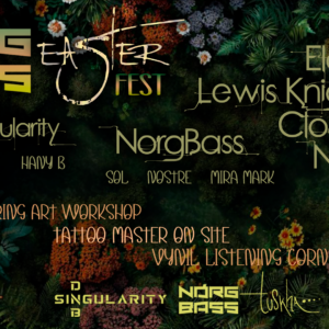 Day ticket included workshop ***